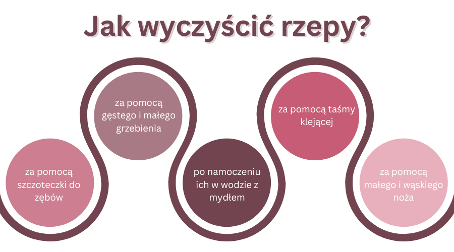 jak wyczyścić rzepy - infografika